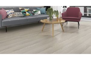 cat product image