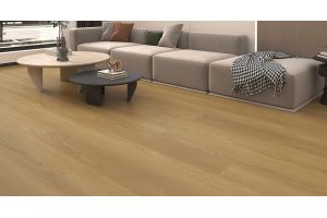 cat product image