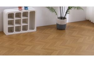 cat product image