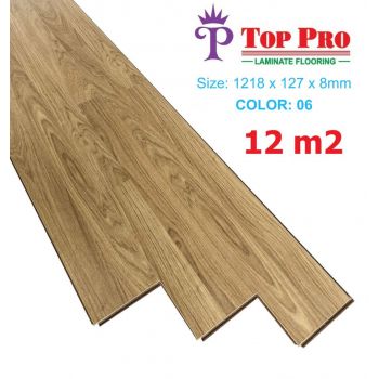 Top Pro 06