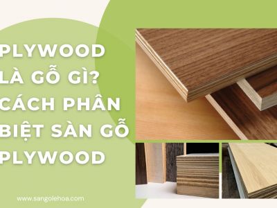 Plywood là gỗ gì? Cách phân biệt sàn gỗ Plywood