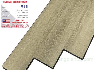 Cốt Đen Ruby R13
