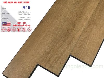 Cốt Đen Ruby R19