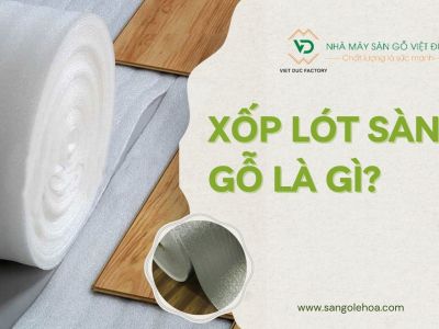 Xốp Lót Sàn Gỗ Là Gì? Cách Chọn Xốp Lót Sàn Gỗ Phù Hợp