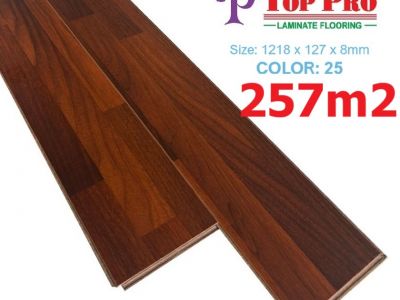 Top Pro 25